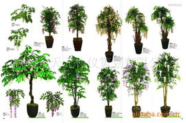 深圳市天元禮儀策劃公司 專業綠化苗木產品與一站式禮儀服務